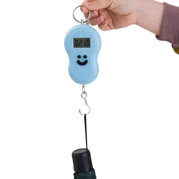 Mini Electronic Digital Scale