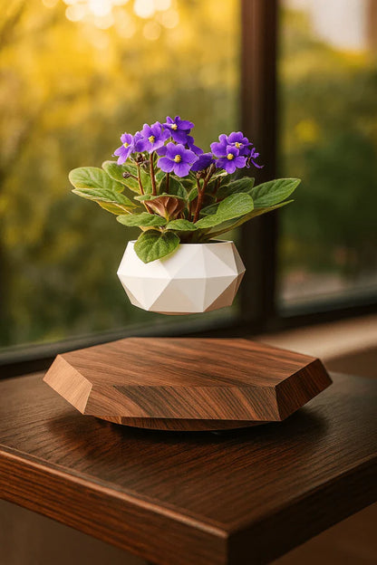 Levitating - Floating Flower Pot with Wood Base
